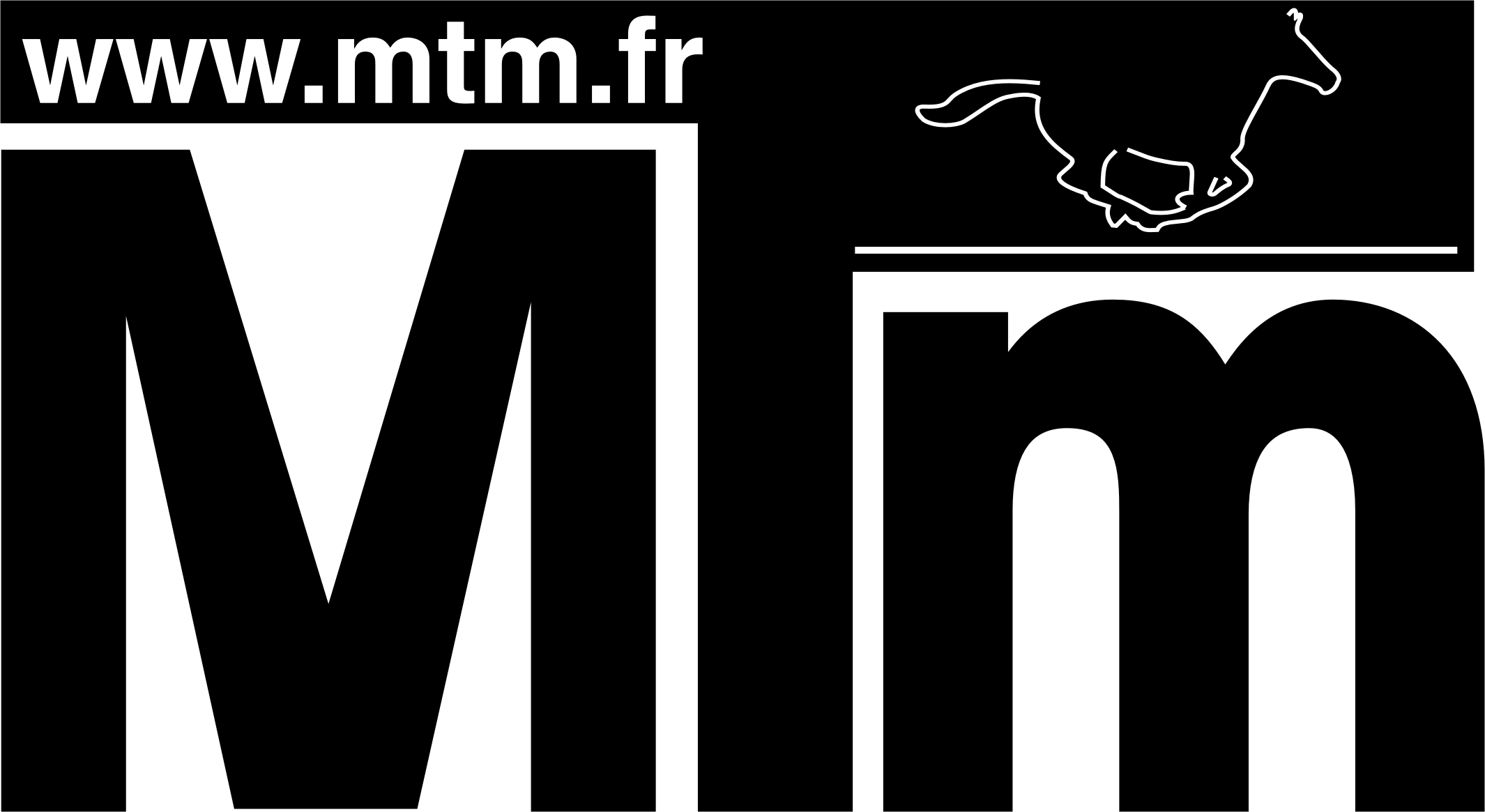 LOGO MTM 2010.